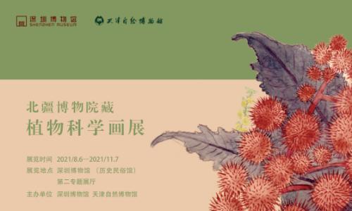 识草绘木——北疆博物院藏植物科学画展