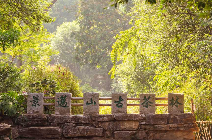“普洱景迈山古茶林文化景观”被列入《世界遗产名录》，成为中国第57项世界遗产。