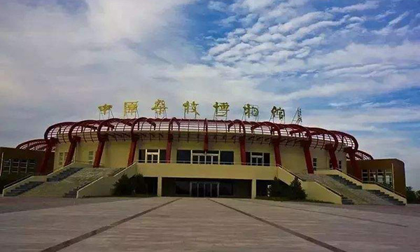 中原杂技博物馆
