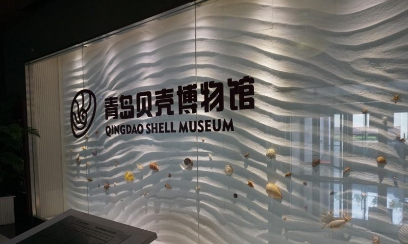 青岛贝壳博物馆