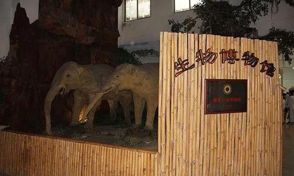 中山大学生物博物馆