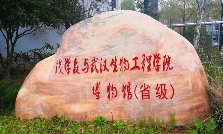 钱学森与武汉生物工程学院博物馆