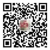 626260b7ea739ebcf79d0f03621b6179_jpg